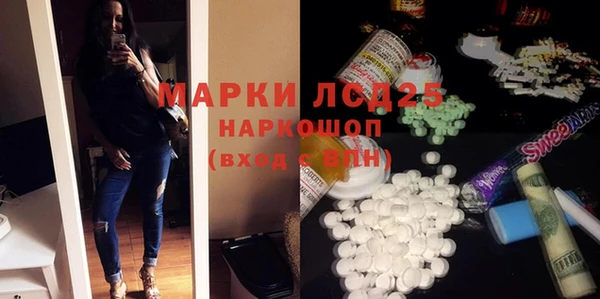 эйфоретик Вяземский