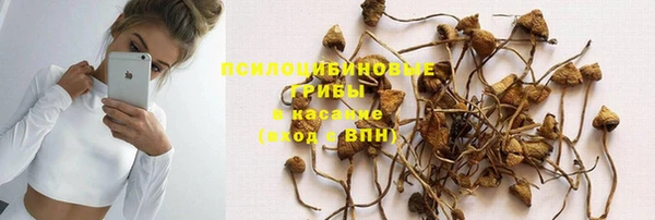 ALPHA PVP Верхний Тагил