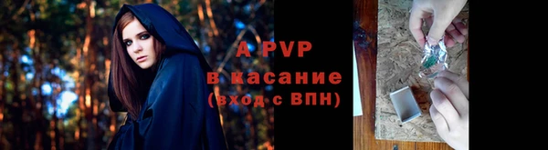 ПСИЛОЦИБИНОВЫЕ ГРИБЫ Волосово