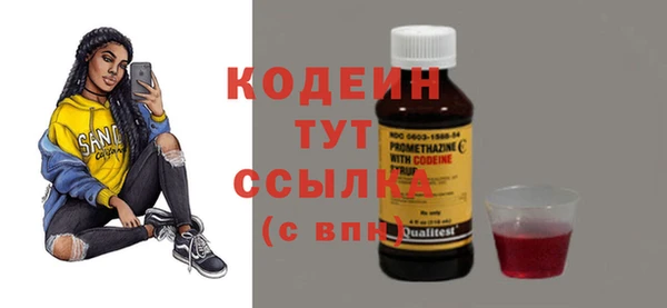 эйфоретик Вяземский