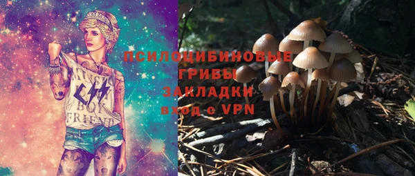 эйфоретик Вяземский