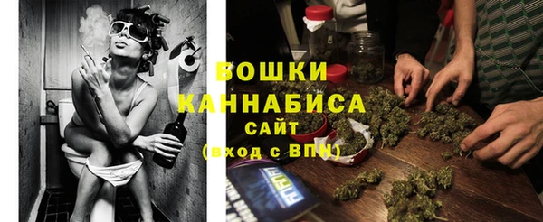 эйфоретик Вяземский