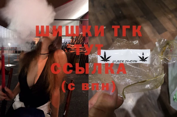 эйфоретик Вяземский