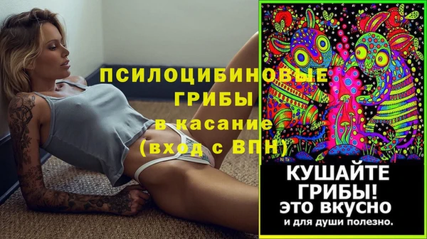 твердый Волоколамск