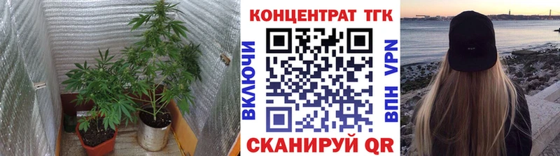 ТГК вейп с тгк Купить закладки Рудня