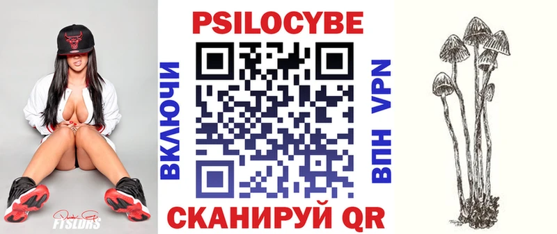 Псилоцибиновые грибы Psilocybe  Купить закладки  Рудня 
